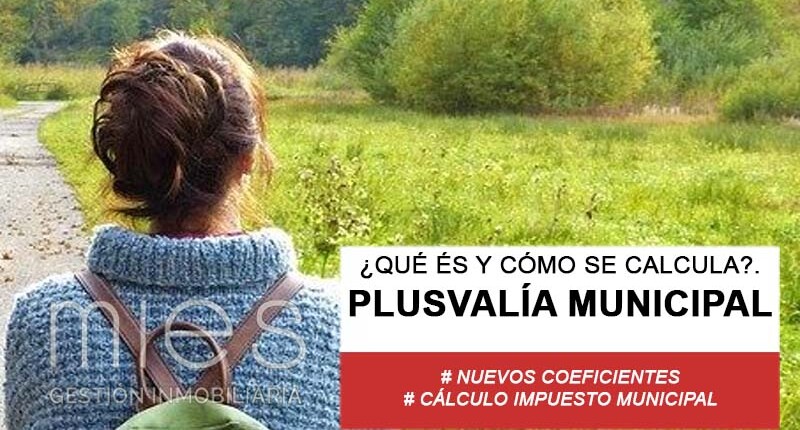 Respira tranquilo… Te explicamos todo lo que necesitas acerca de la Plusvalía Municipal: