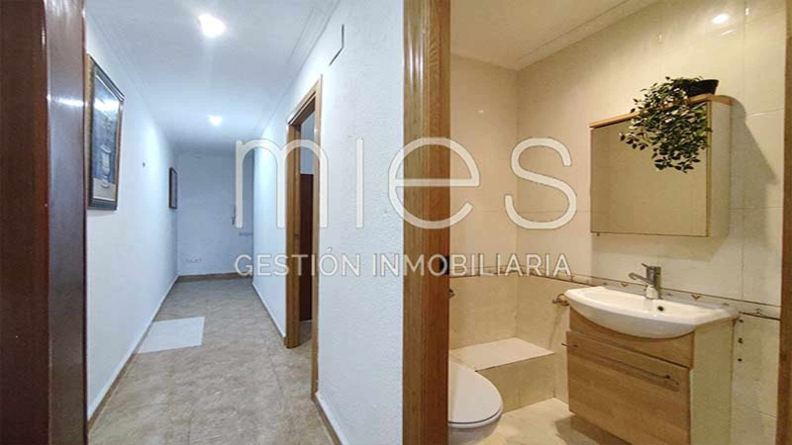 mies inmobiliaria vende piso moli ascensor oportunidad inversión