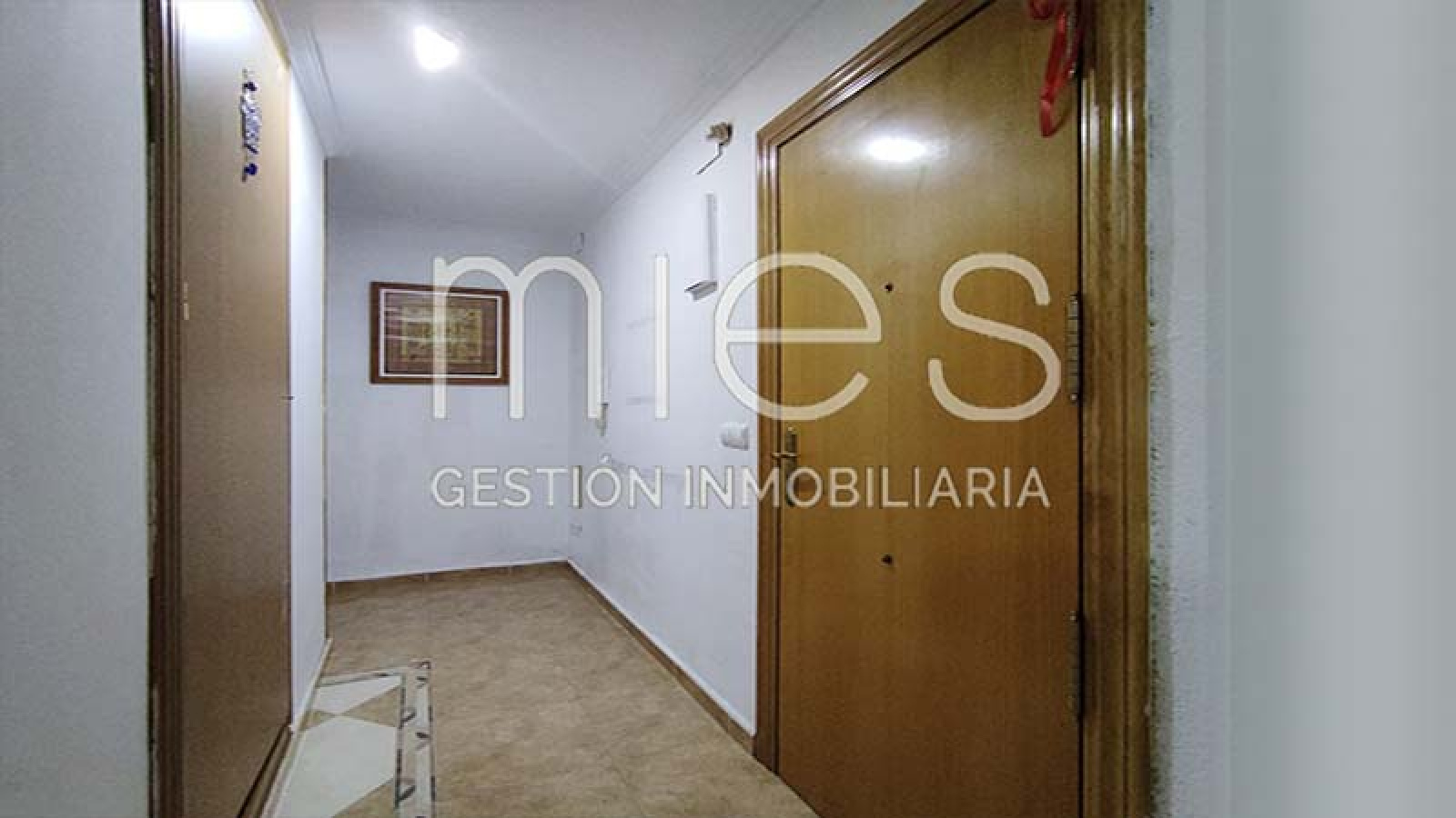 mies inmobiliaria vende piso moli ascensor oportunidad inversión