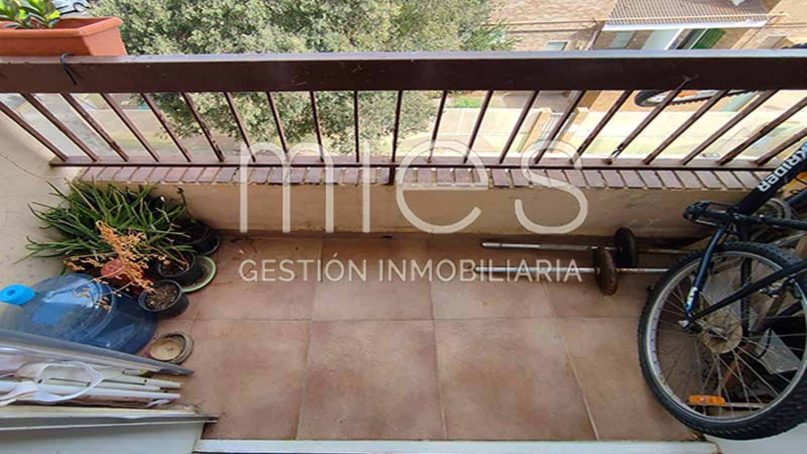 mies inmobiliaria vende piso moli ascensor oportunidad inversión