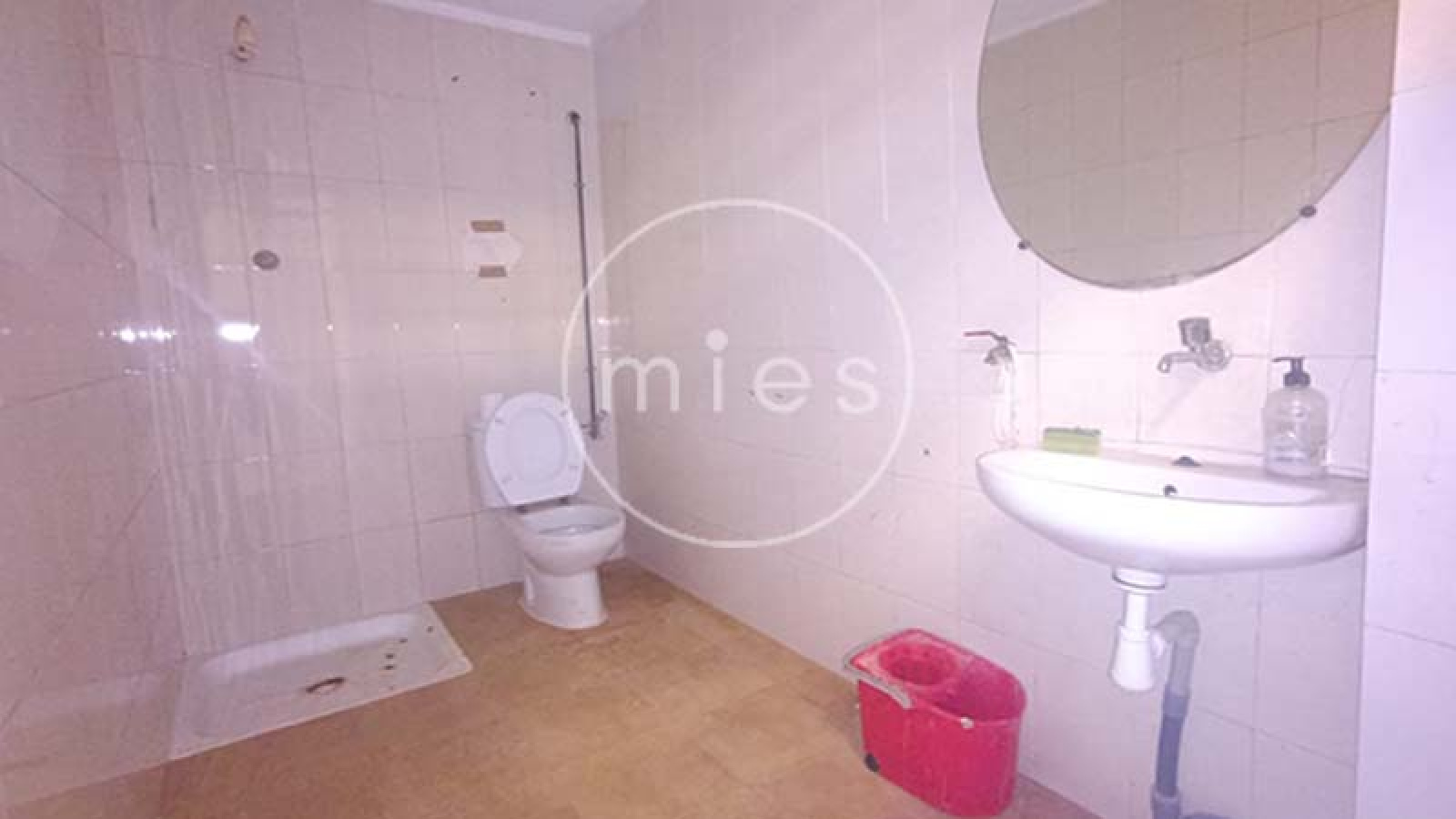 mies inmobiliaria alquila nave