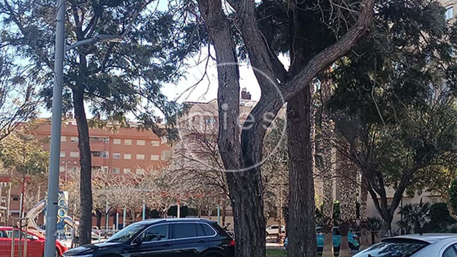 mies inmobiliaria alquila nave