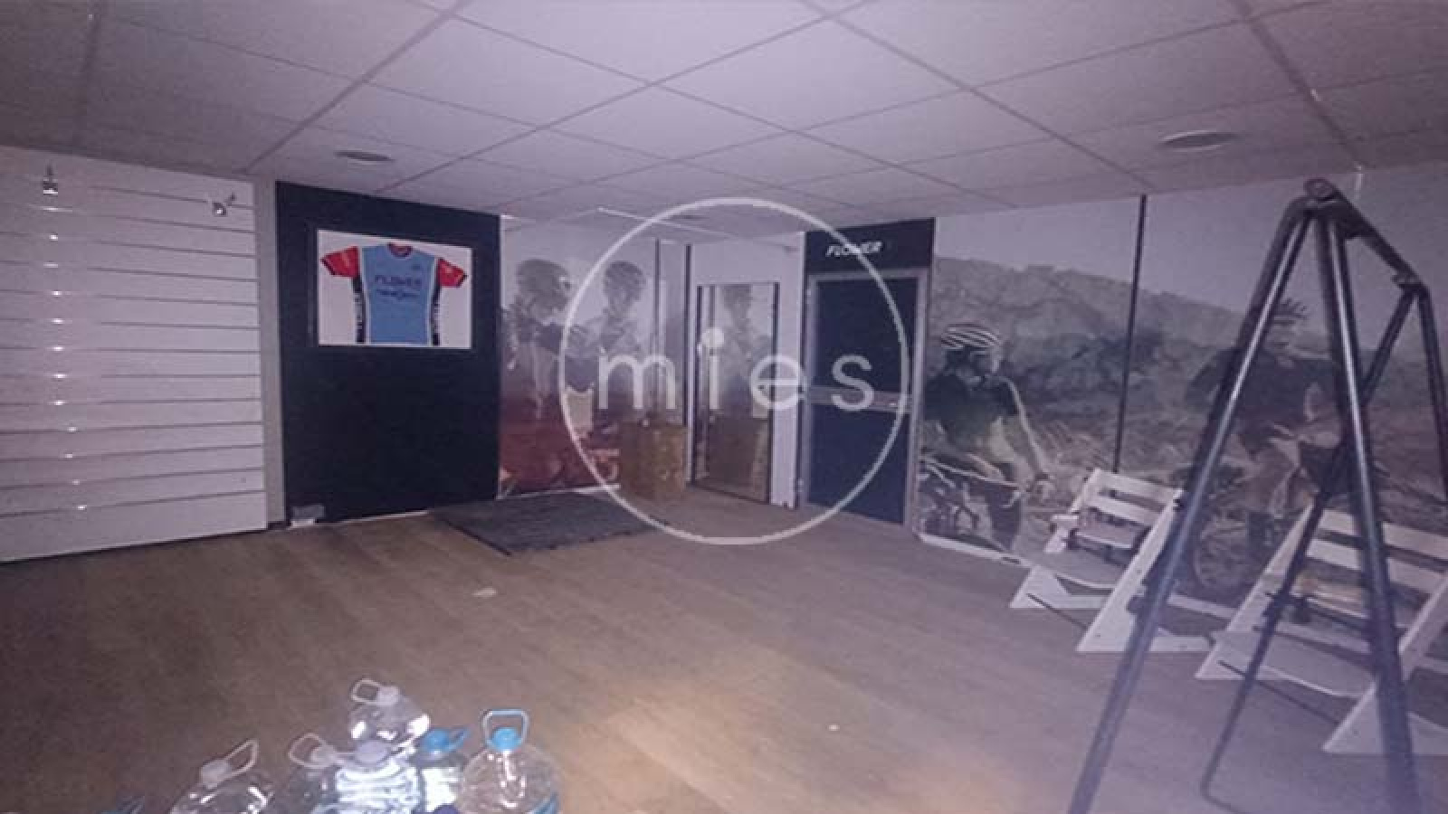 mies inmobiliaria alquila nave