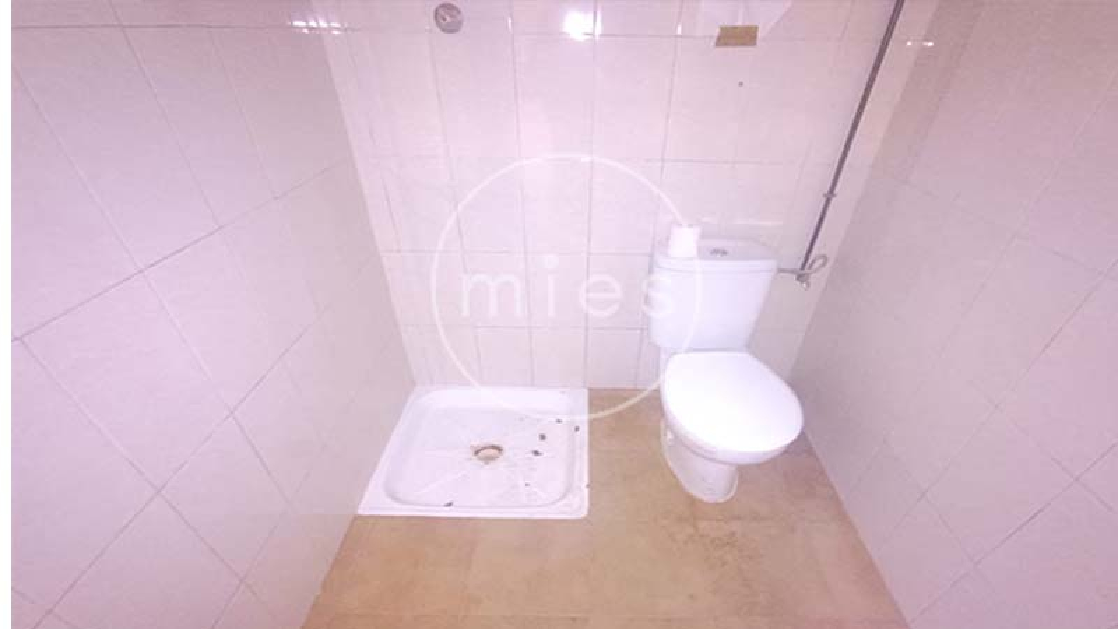 mies inmobiliaria alquila nave