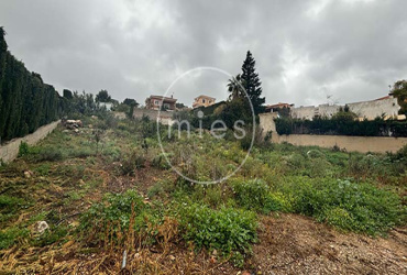 Mies inmobiliaria vende solar parcela en altury turisMies inmobiliaria vende solar parcela en altury turis