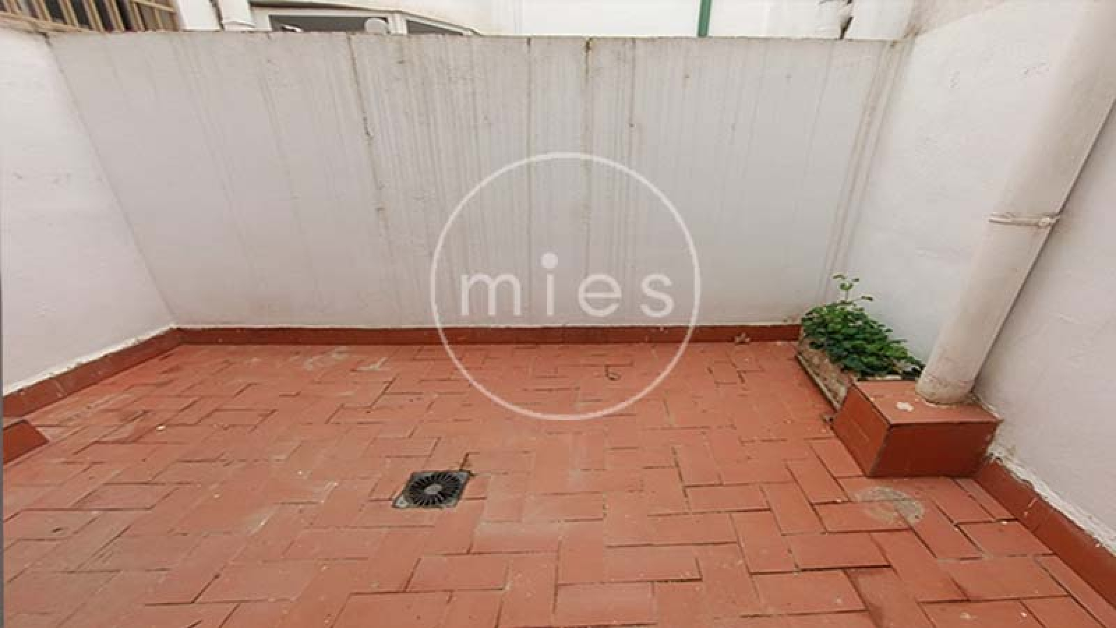 mies inmobiliaria valoracion gratuita torrent