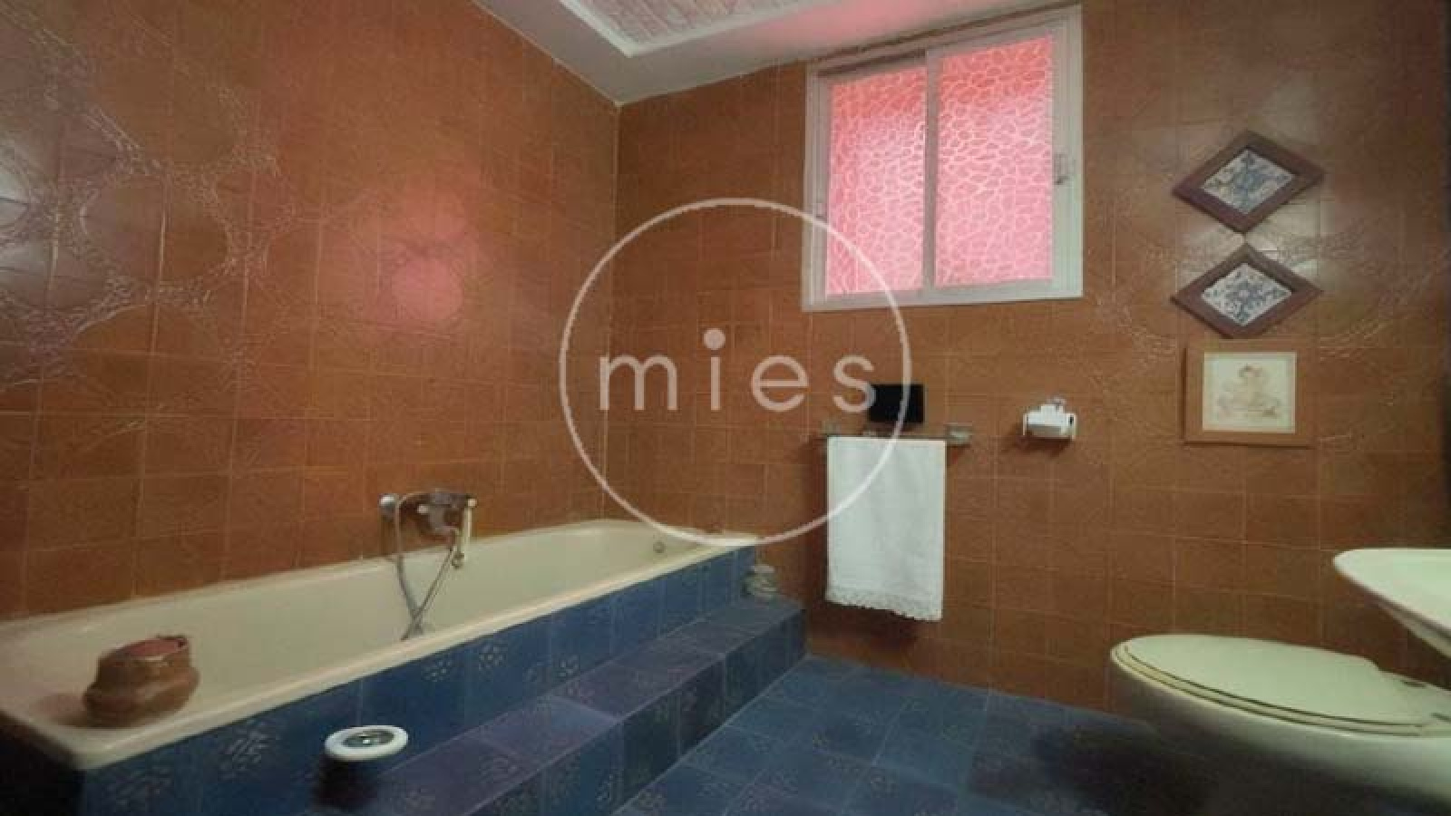 EN TURÍS INMOBILIARIA MIES VENDE