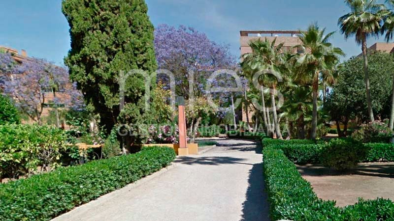 Imagen 23 de Zona Avinguda al Vedat