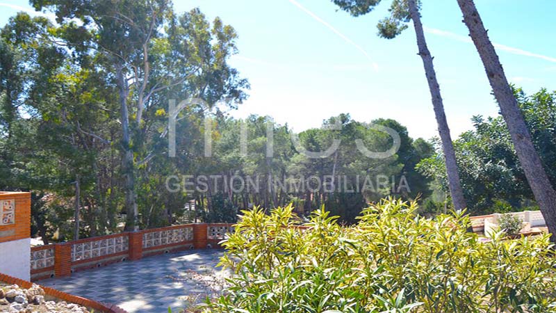 Imagen 20 de Turís