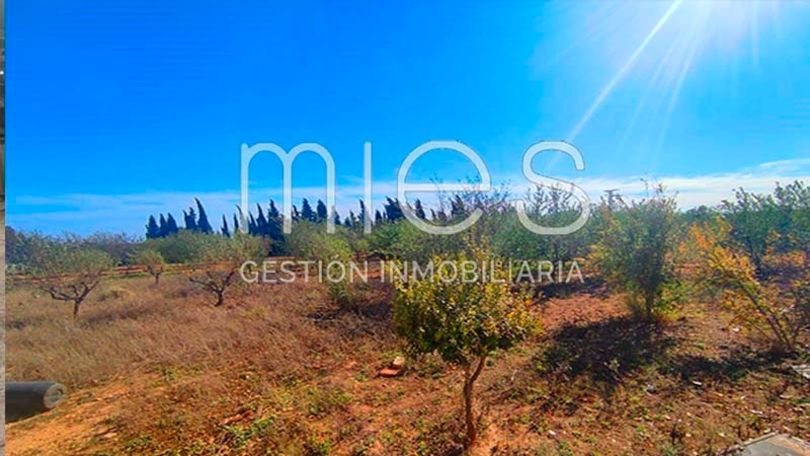 INMOBILIARIA MIES VENDE NAVE EN ALDAIA