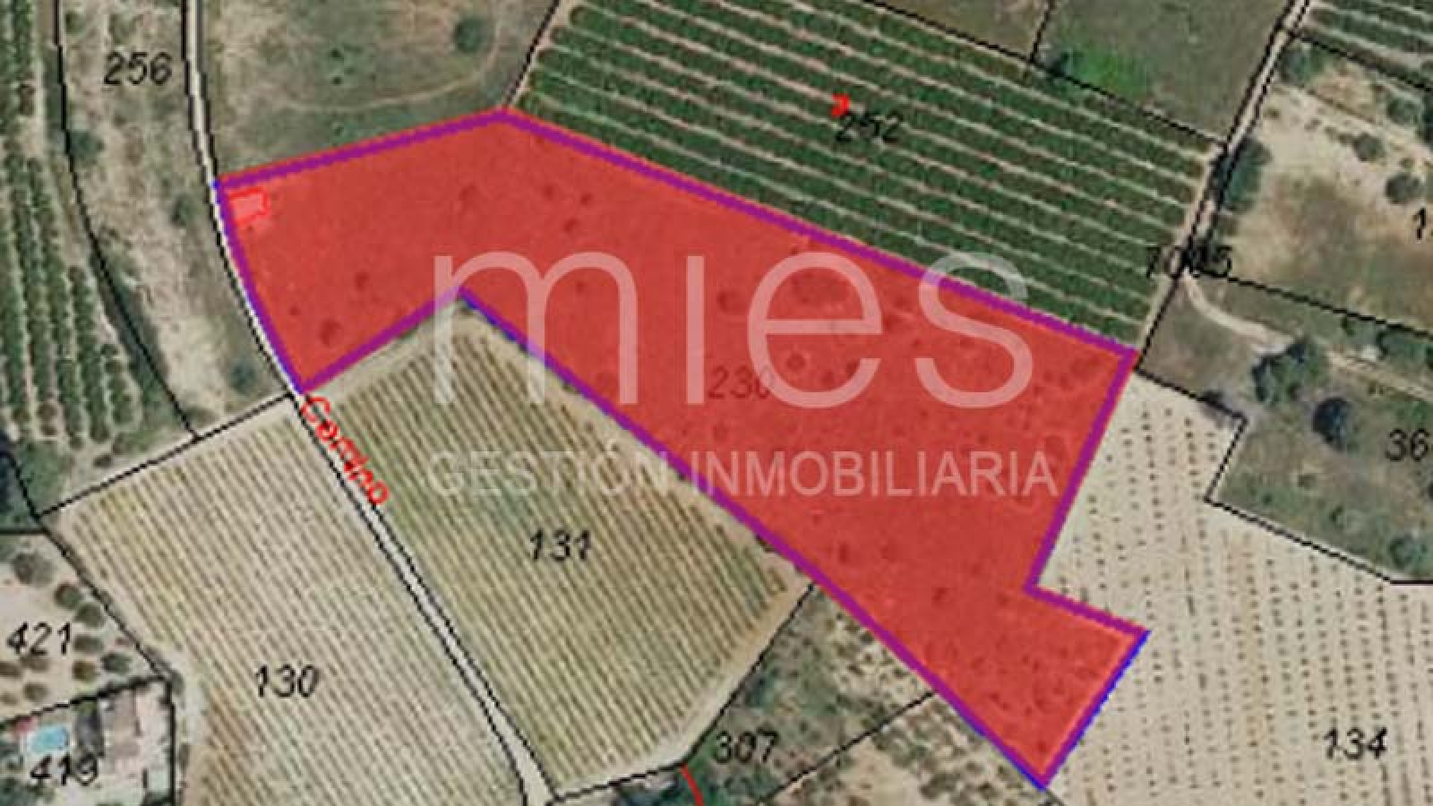 Caseta en Venta en Xarco Secs, Torrent - Parcela Vallada de 13.847 m² | MIES Inmobiliaria