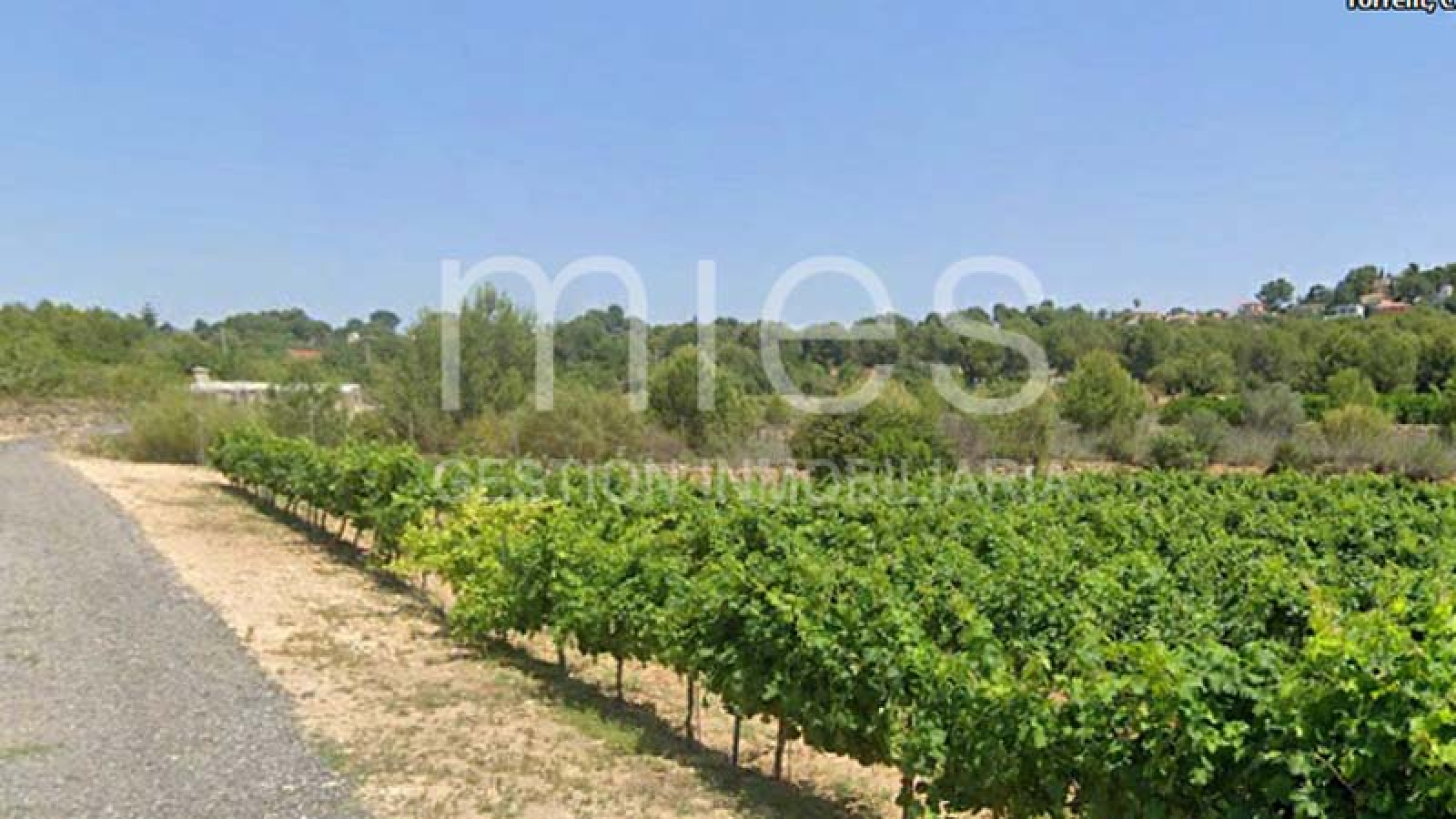 Descubre esta caseta en venta en Xarco Secs, Torrent. Parcela de 13.847 m² vallada, ideal para reformar o instalar una casa prefabricada. A 3 minutos del Camping de la Pirámide. ¡Oportunidad única con acceso asfaltado y agua del Pozo de la Sierra!