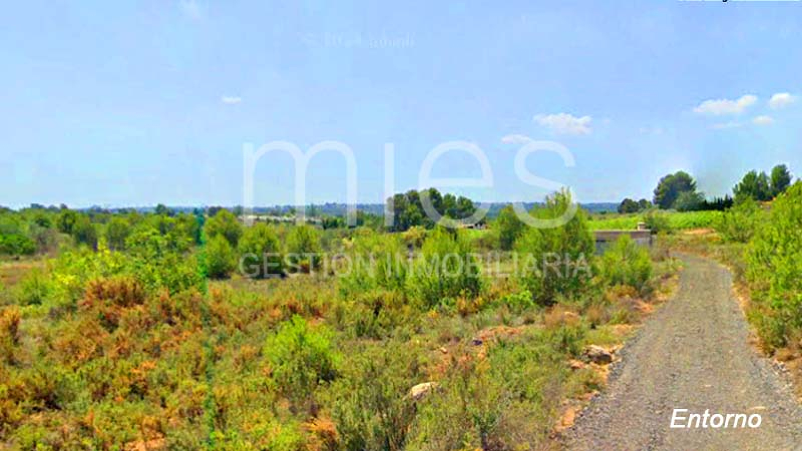 Descubre esta caseta en venta en Xarco Secs, Torrent. Parcela de 13.847 m² vallada, ideal para reformar o instalar una casa prefabricada. A 3 minutos del Camping de la Pirámide. ¡Oportunidad única con acceso asfaltado y agua del Pozo de la Sierra!Descubre esta caseta en venta en Xarco Secs, Torrent. Parcela de 13.847 m² vallada, ideal para reformar o instalar una casa prefabricada. A 3 minutos del Camping de la Pirámide. ¡Oportunidad única con acceso asfaltado y agua del Pozo de la Sierra!