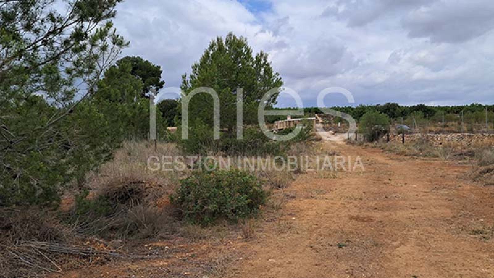 Caseta en Venta en Xarco Secs, Torrent - Parcela Vallada de 13.847 m² | MIES Inmobiliaria