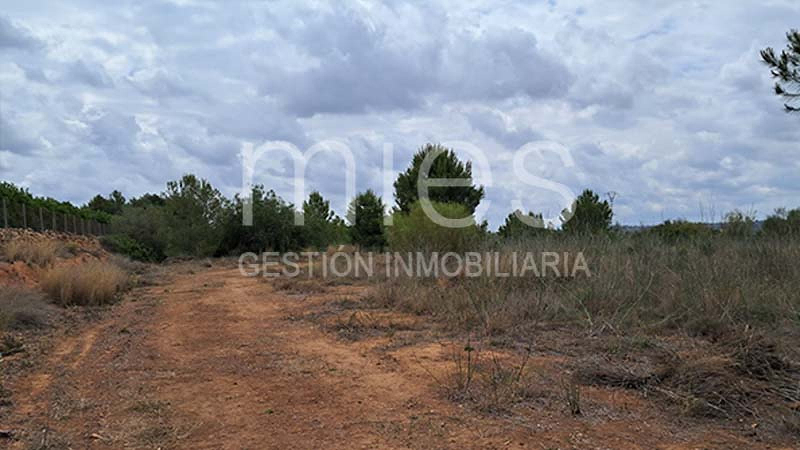 Caseta en Venta en Xarco Secs, Torrent - Parcela Vallada de 13.847 m² | MIES Inmobiliaria