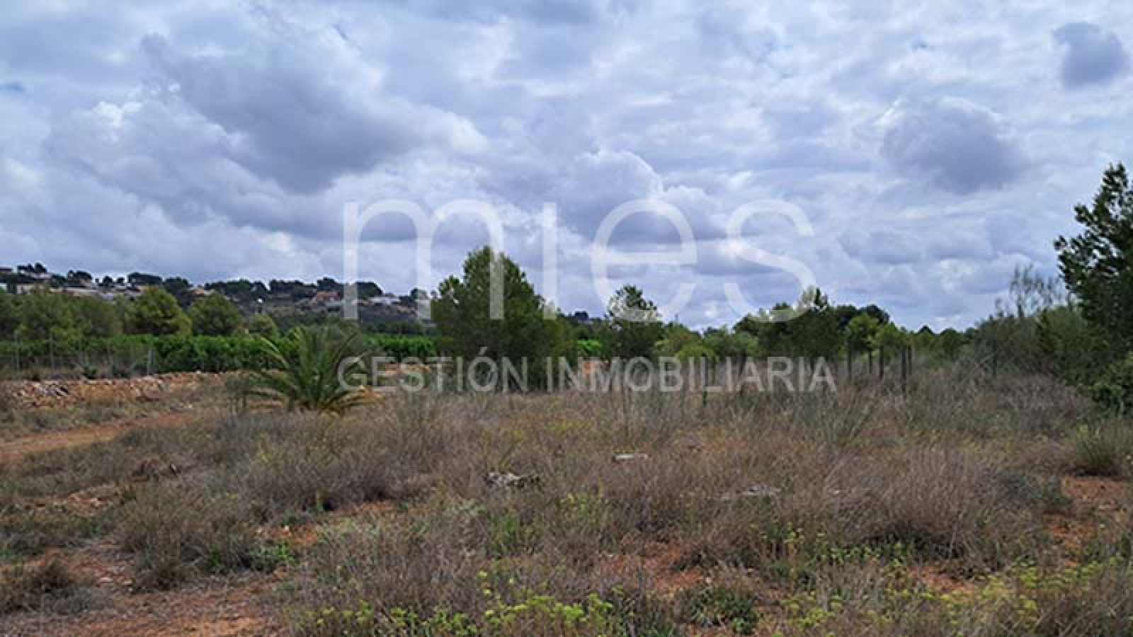 Caseta en Venta en Xarco Secs, Torrent - Parcela Vallada de 13.847 m² | MIES Inmobiliaria