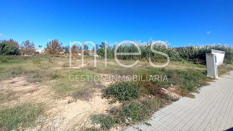 Imagen 1 de Sollana