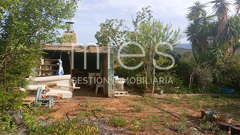 Imagen 3 de Macastre