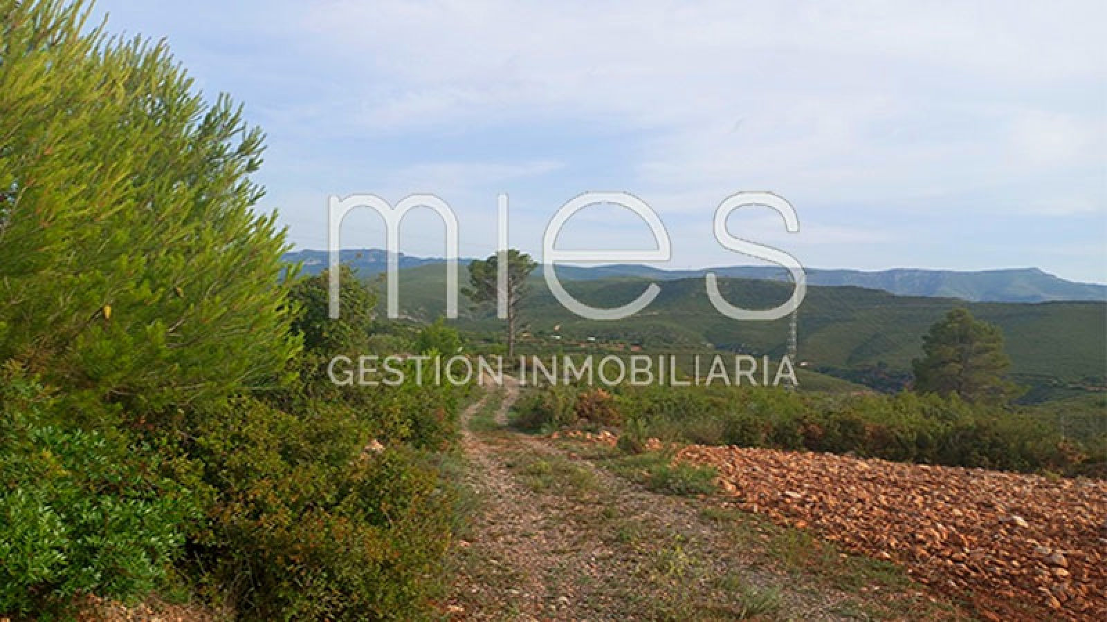 INMOBILIARIA MIES VENDE CHALET MACASTRE