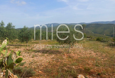 INMOBILIARIA MIES VENDE CHALET MACASTRE