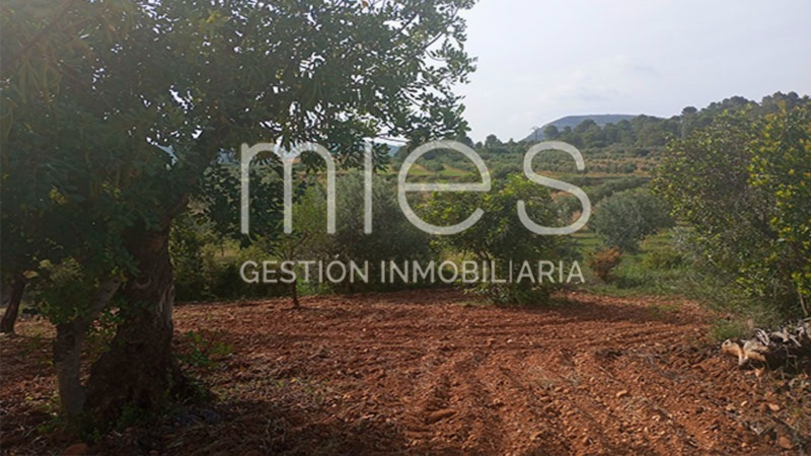 INMOBILIARIA MIES VENDE CHALET MACASTRE