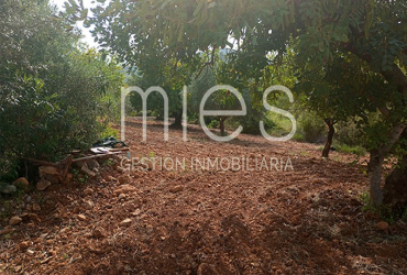 INMOBILIARIA MIES VENDE CHALET MACASTRE