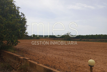 mies inmobiliaria vende caseron chalet torrent el panta urbanizacion oportunidad recomendado 
