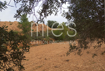 mies inmobiliaria vende caseron chalet torrent el panta urbanizacion oportunidad recomendado 