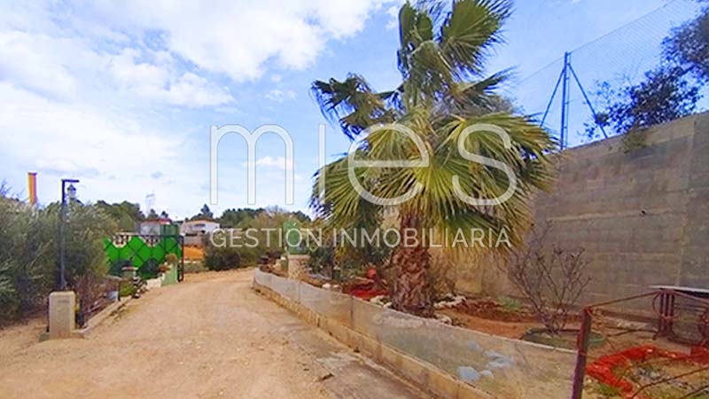 Imagen 7 de Monserrat