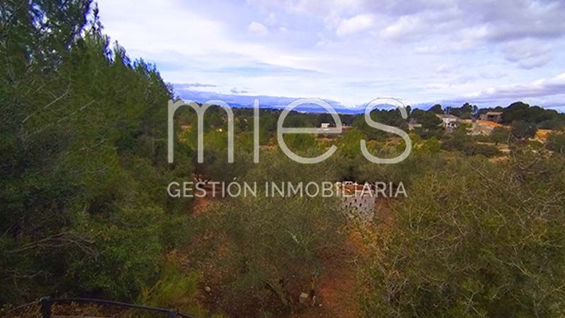 Imagen 11 de Monserrat