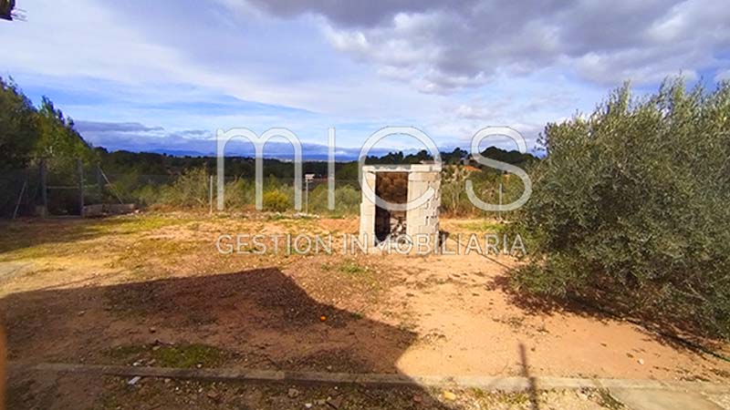 Imagen 14 de Monserrat