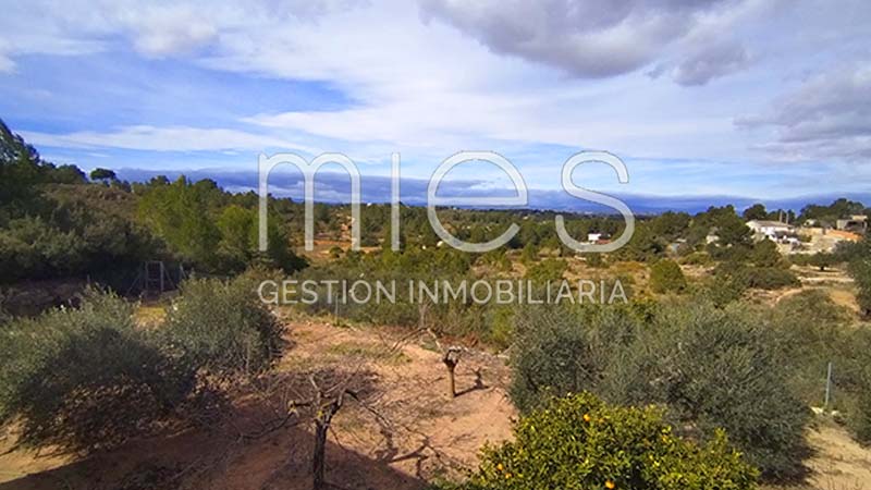 Imagen 32 de Monserrat