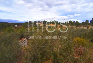 mies inmobiliaria vende chalet montserrat