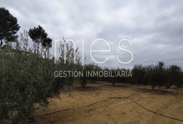 mies inmobiliaria monserrat