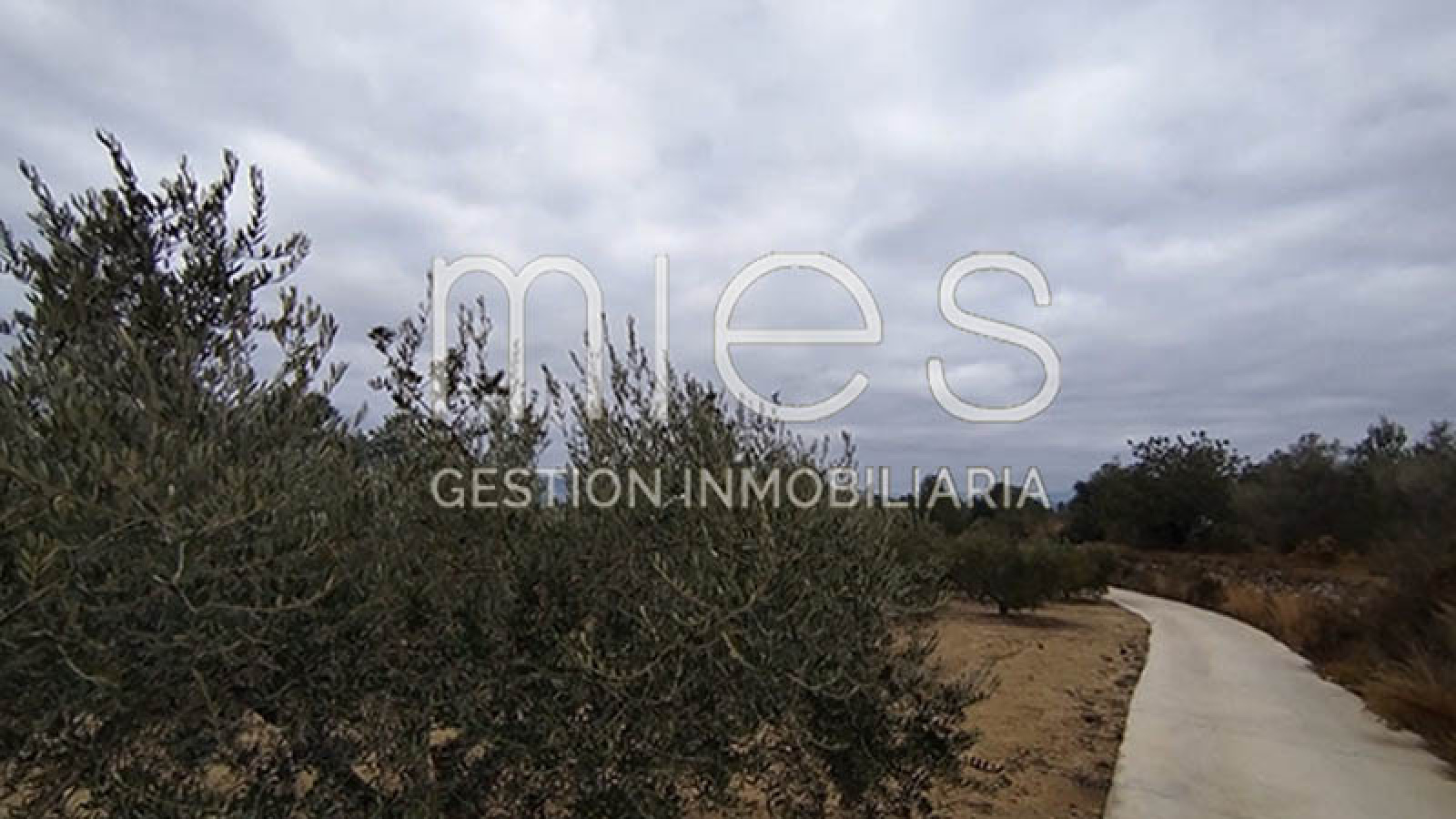 mies inmobiliaria monserrat