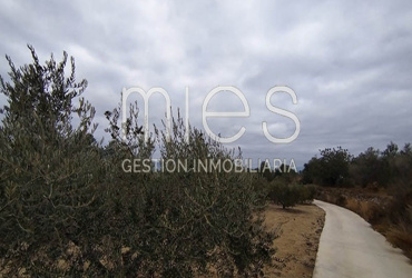 mies inmobiliaria monserrat