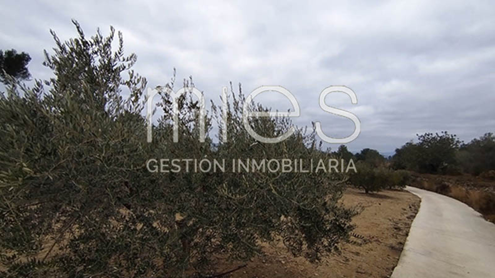 mies inmobiliaria monserrat