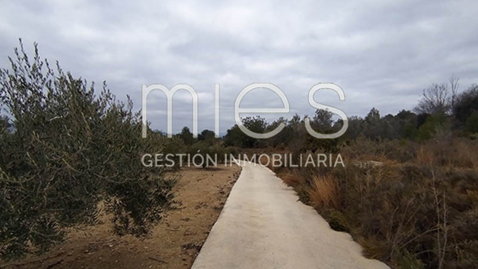 mies inmobiliaria monserrat