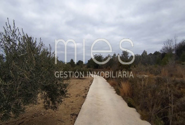 mies inmobiliaria monserrat