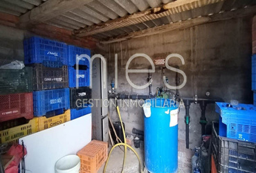 mies inmobiliaria monserrat