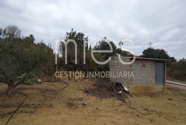mies inmobiliaria monserrat