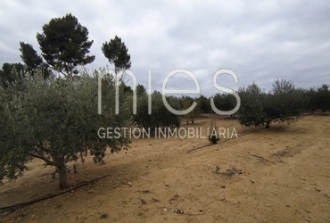 mies inmobiliaria monserrat