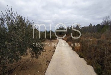 mies inmobiliaria monserrat