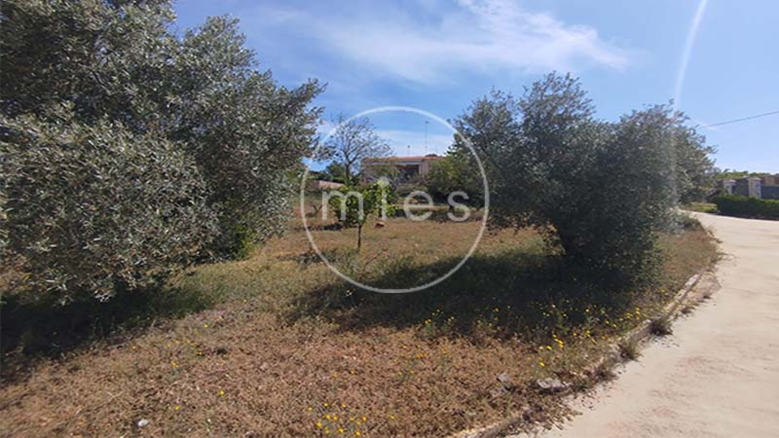 Cocina independiente de chalet listo para entrar a vivir en Montserrat – MIES Inmobiliaria