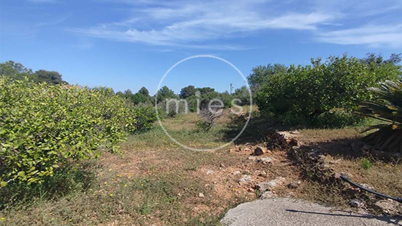 Cocina independiente de chalet listo para entrar a vivir en Montserrat – MIES Inmobiliaria