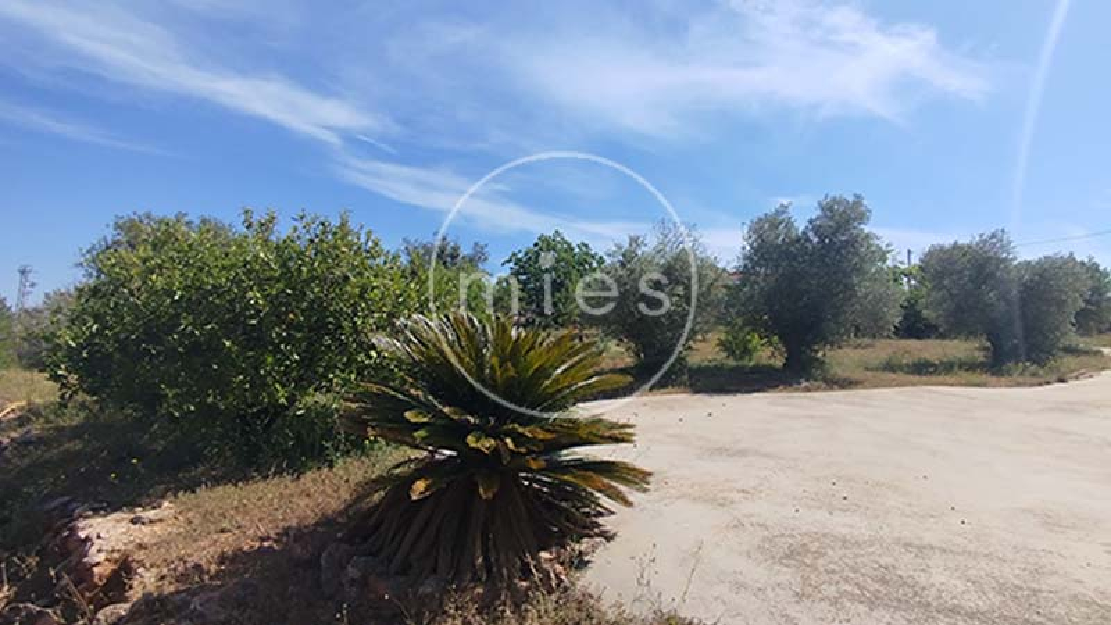 Cocina independiente de chalet listo para entrar a vivir en Montserrat – MIES Inmobiliaria