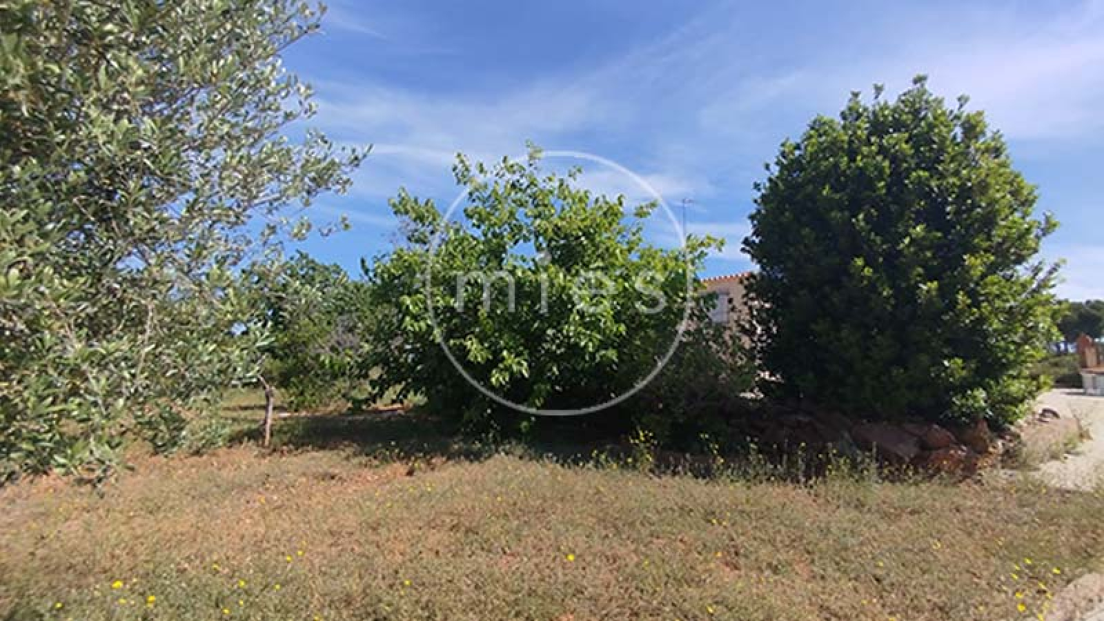 Cocina independiente de chalet listo para entrar a vivir en Montserrat – MIES Inmobiliaria