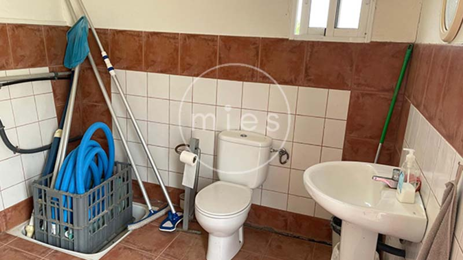 chalet en venta Valencia, finca rústica urbana Valencia, casa con terreno El Bosque, comprar casa Los Felipes, vivienda con piscina Valencia, finca con olivos, chalet con dos viviendas, olivos, oliva, aceite, mies inmobiliaria 