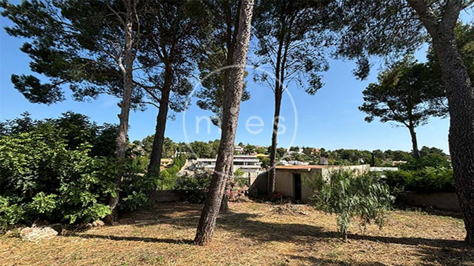 mies inmobiliaria vende piso chalet en turis altury torrent oportunidad banco