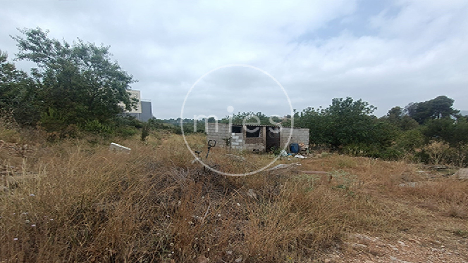 mies inmobiliaria torrent chiva